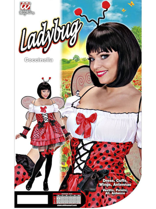 Carnival Costume Ladybug