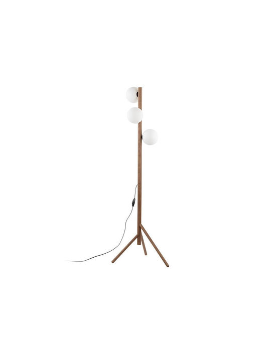 TK Lighting Estera Φωτιστικό Δαπέδου Υ150εκ. Καφέ TK Lighting Estera Φωτιστικό Δαπέδου Υ150εκ. Καφέ