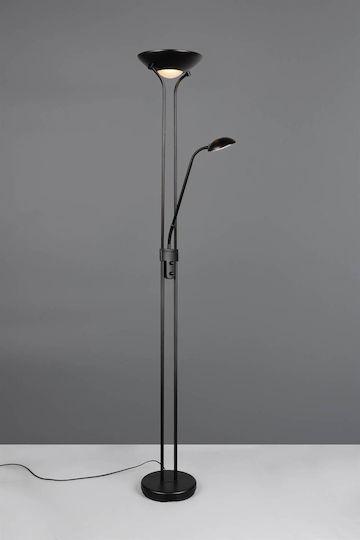 Trio Lighting R422921 Trio Lighting R422921