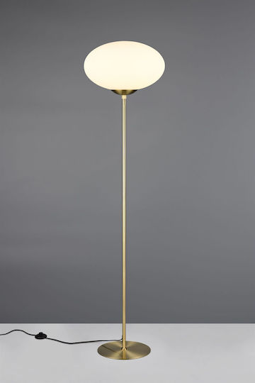 Trio Lighting 4631001 Trio Lighting 4631001