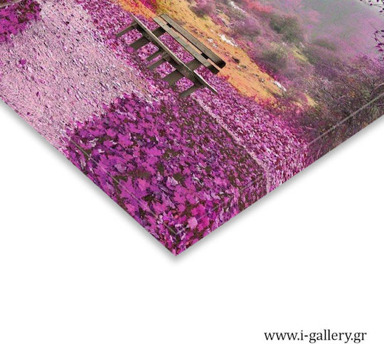 Canvas Painting Sunset in Mykonos Diptych 70x50cm 2 Pieces 35x50cm