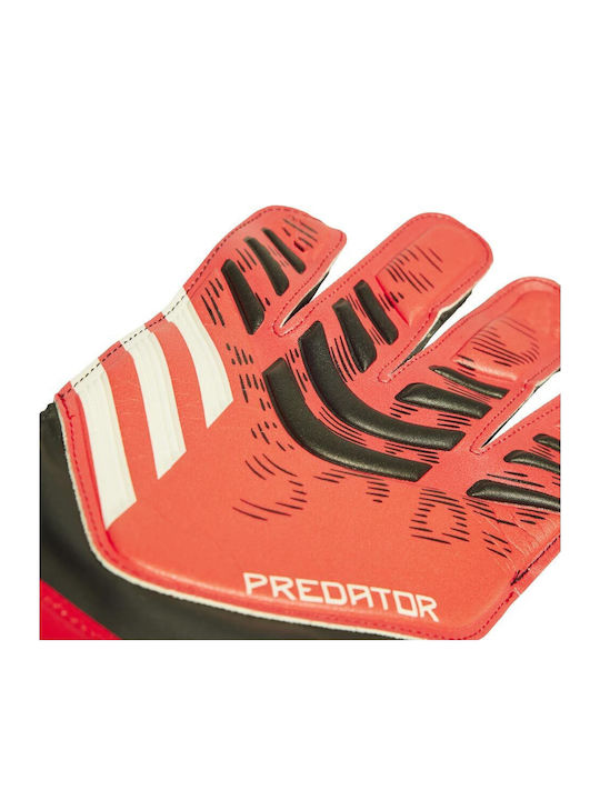 adidas Predator Pro Torwarthandschuhe Erwachsene Rot