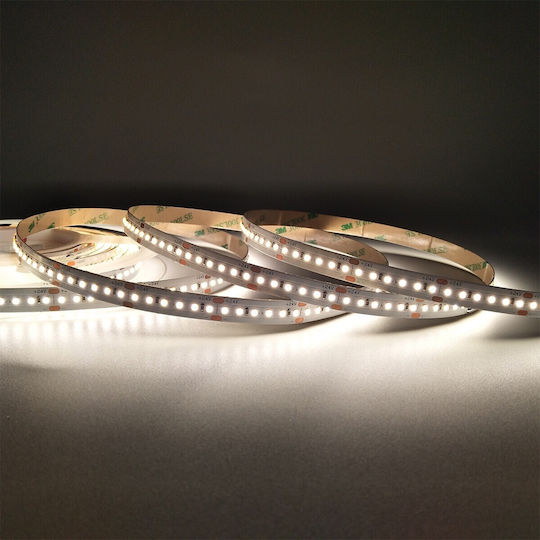 VK Lighting Bandă LED 24V Alb Natural Lumină 5m Tip SMD2216
