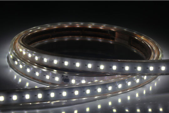 Universe Waterproof LED Strip 220V Cold White Light 1m Type SMD2835