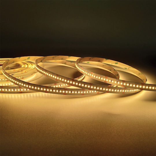 VK Lighting Ταινία LED 24V Θερμό Λευκό Φως 5m Τύπου SMD2216