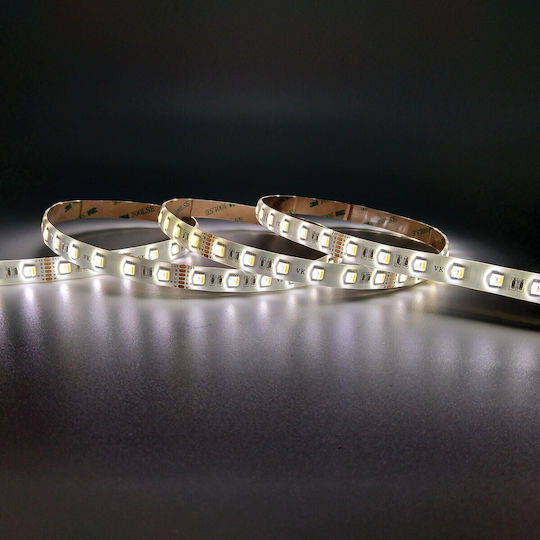 VK Lighting Bandă LED Bianco reglabil Lumină Tip SMD5050