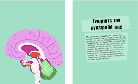 Menschliches Gehirn Von Gehirnfunktionen Zu Künstlicher Intelligenz