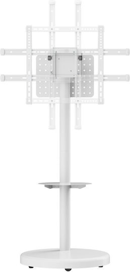 Techly Fernsehhalterung Boden bis 86" und 50kg