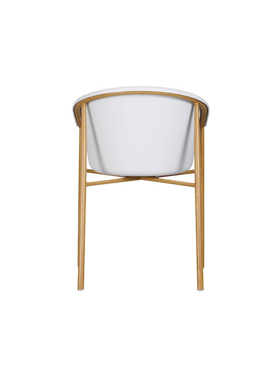 Carina Kitchen Polypropylene Armchair White 57x59x80cm 2pcs