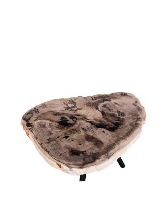 Side Table Saman Made of Solid Wood Black 70x55x40cm