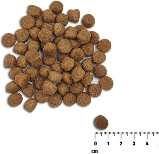 10kg Dry Food Gluten-Free for Puppies with Salmon