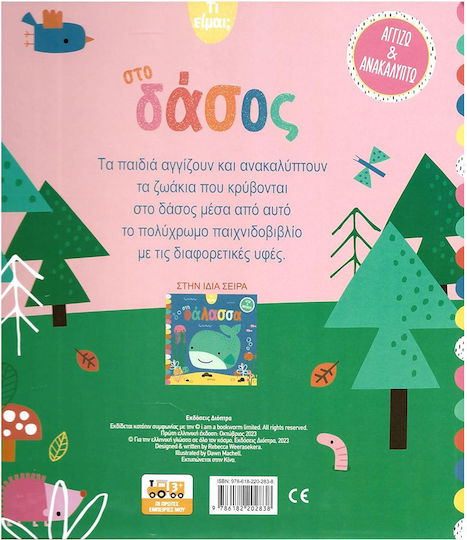 Στο Δάσος, Τι Είμαι;