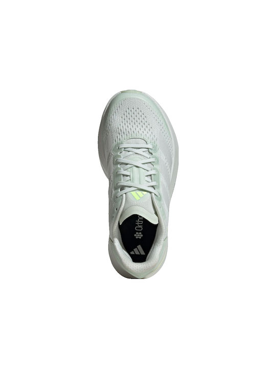 adidas adidas
