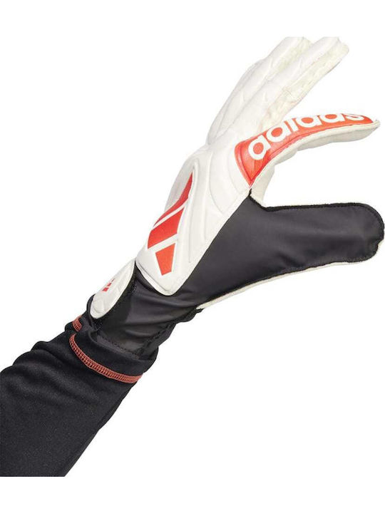 adidas Copa Gl Clb Γάντια Τερματοφύλακα Ενηλίκων Λευκά