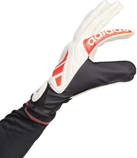adidas Copa Gl Clb Torwarthandschuhe Erwachsene Weiß