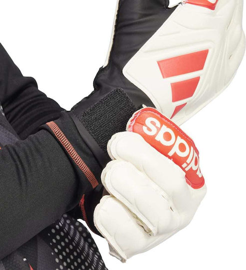 adidas Copa Gl Clb Torwarthandschuhe Erwachsene Weiß