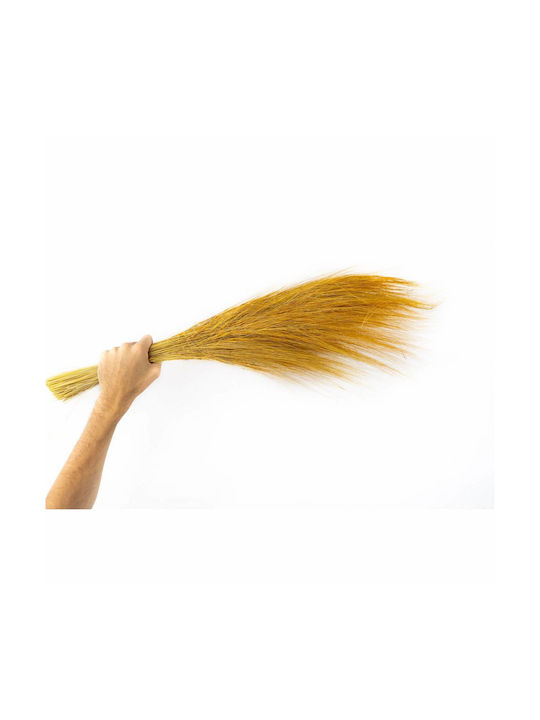 Konservierte Blumen Barba Gelb 100g H:50-60 cm