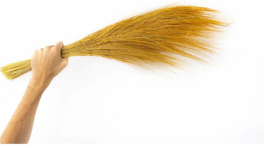 Konservierte Blumen Barba Gelb 100g H:50-60 cm Konservierte Blumen Barba Gelb 100g H:50-60 cm