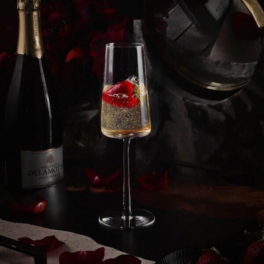 Stolzle Lausitz Set Brillen Champagner Kelch Kristall 240ml 6 Stück