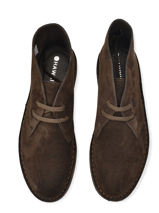 Hawkins Premium