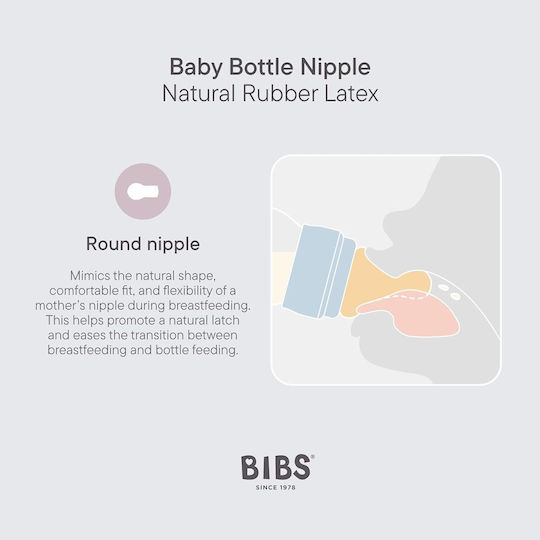 Bibs Plastic Baby Bottle Set Anti-Colic with Rubber Nipple for 2+ months 270ml 2pcs