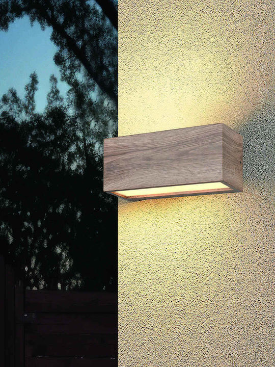 Trio Lighting Πλαφονιέρα 25x10x11εκ.