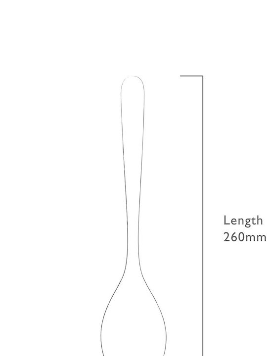 Robert Welch Rostfreier Silber Löffel 26cm SIGBR2549V