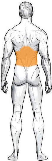 Ironlab Back Extension Machine Уред за Гръбни Мускули с Тежести 100кг