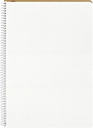 Spiral Notebook Carnet Spiral 40 Foi B5 Pătrată Multicolor