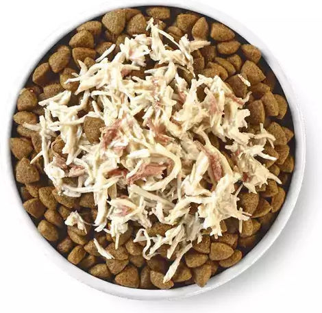 Applaws Nassfutter für Welpen in Dose mit Huhn 156gr