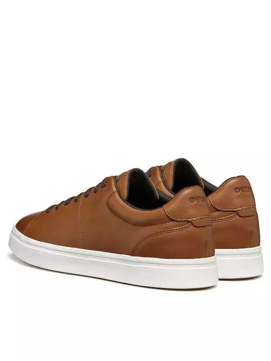 Geox Sneakers Tampa