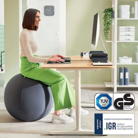 Minge Ergonomică pentru Șezut cu Greutăți Ø 55 Cm Ergo – Leitz