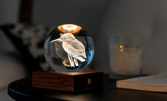 Gingko Light Decorative Lamp 3D Illusion Multicolour