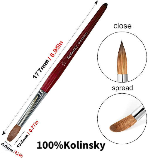 Pensulă Profesională Kolinsky Păr Natural Lemn Nr.8 Acrilic