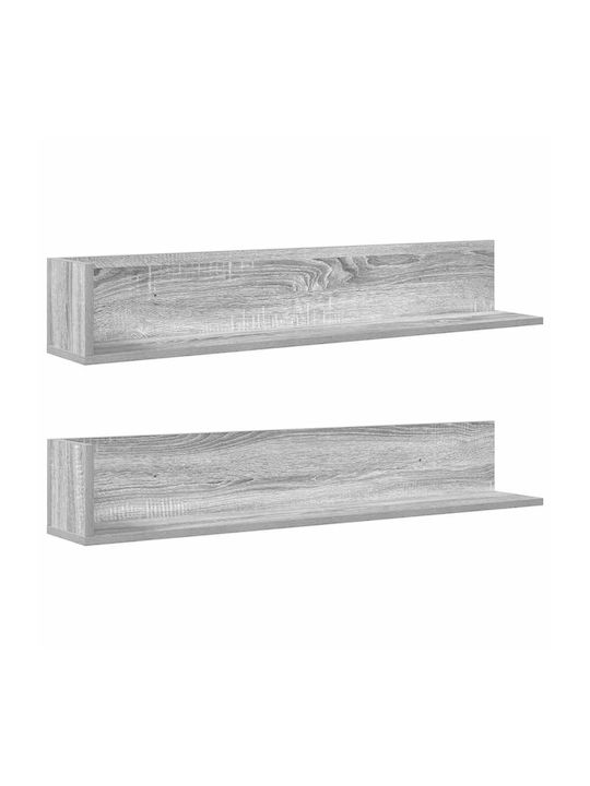 Shelves Wall Grey Sonoma 2pcs 100x16.5x16.5cm