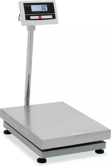 Steinberg Systems Balkenwaage mit Säule mit einer Wiegekapazität von 300kg