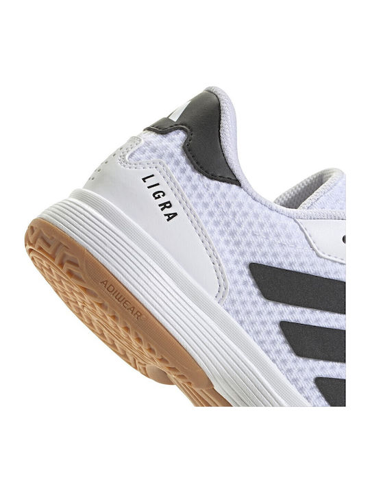 Ligra 8 K Kids Sports Shoes Volleyball with Laces White