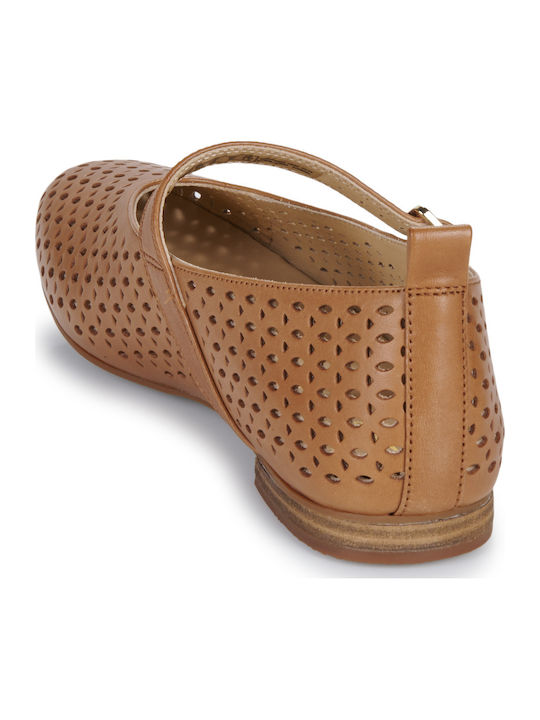 Ballerinas Brown