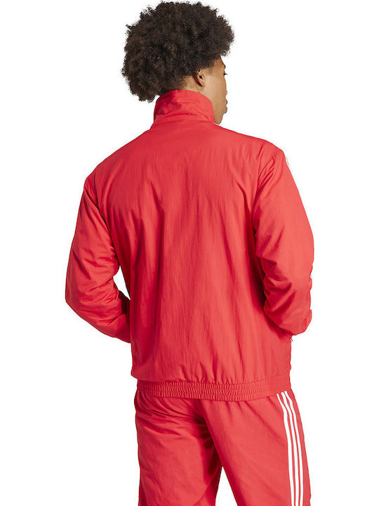 adidas adidas