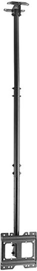 Brateck PLB-CE1022-01 TV Mount Ceiling with Arm up to 43" and 50kg