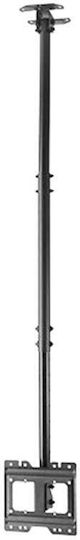 Brateck PLB-CE1022-01 TV Mount Ceiling with Arm up to 43" and 50kg