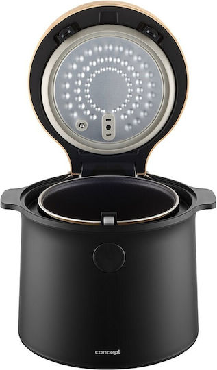 Concept Rice Cooker 450W cu Capacitate 2lt