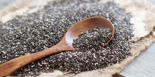 Terrasana Βιολογικό Chia 330gr