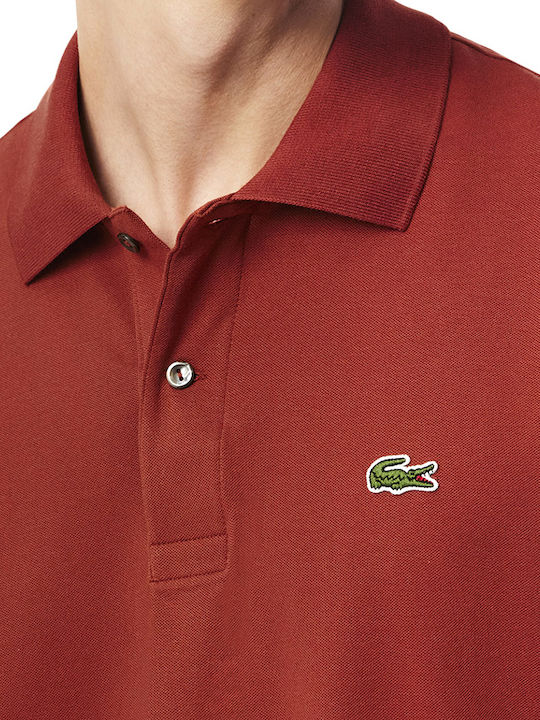 Polo T-shirt Καφέ