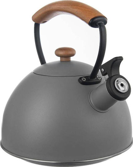 Orion Stainless Steel Teapot 3000ml