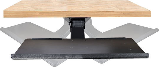 StarTech Ράφι 65030889889 1τμχ