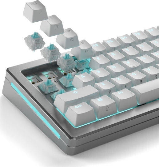 Glorious Keyboard Switch