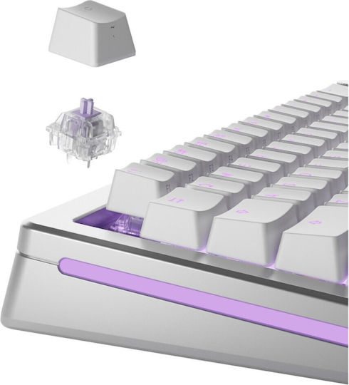 Glorious Keyboard Switch