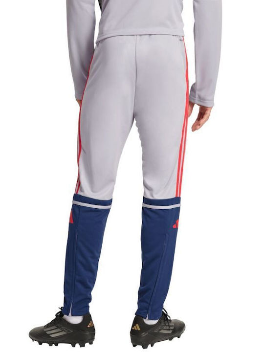 Squadra Pantaloni de trening Lucios Gri
