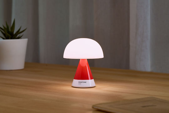Lexon Decorative Lamp Lexon Decorative Lamp